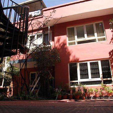 Ojas Wellness B&B Lalitpur Eksteriør bilde