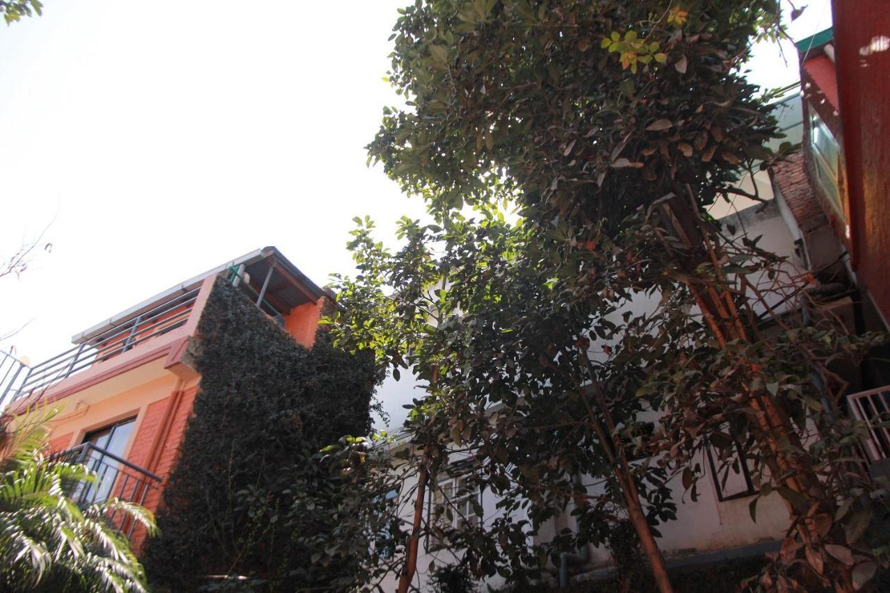 Ojas Wellness B&B Lalitpur Eksteriør bilde